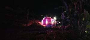 Fotografie z fotogalerie ubytování Kodaikanal dinosaur park and resorts, mannavanur v destinaci Kodaikānāl