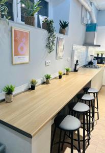 a bar with stools at a counter with plants at Cosy Koala Hostel in Tbilisi City +18 photos