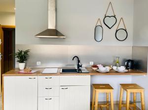 Kuchyň nebo kuchyňský kout v ubytování Apartamenty 66 c + 33 fotografií