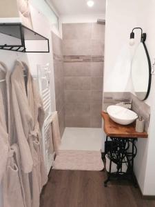 un bagno con lavandino e doccia di La parenthèse a Béthisy-Saint-Pierre