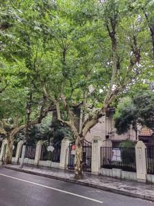 a group of trees in front of a fence at Shanghai Historical Forest Cabin loft With Balcony at second floor near middle Huaihai road in Shanghai