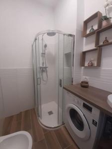 a bathroom with a shower and a washing machine at Arona Lovely House in Arona +6 photos
