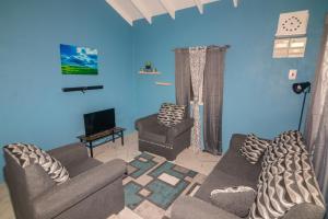 a living room with two couches and a blue wall at Tao Cozy Cottage in Soufrière