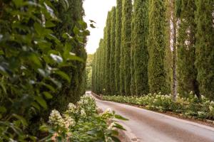 Κήπος έξω από το Borgo San Luigi
