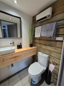 Koupelna v ubytování Loft des Cigognes