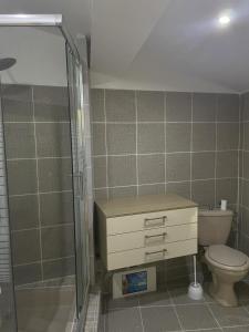 ein Badezimmer mit Toilette und Dusche in der Unterkunft St Cyprien superbe maison de village in Saint-Cyprien