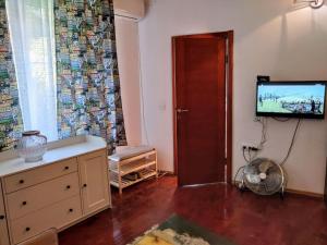TV a/nebo společenská místnost v ubytování Zemun Riverside