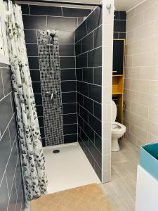 une salle de bain avec douche et toilettes dans l'établissement Studio Leskal centre Cilaos, à Cilaos