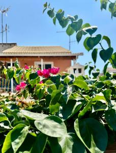 Zahrada ubytování Traditional Corfiot House