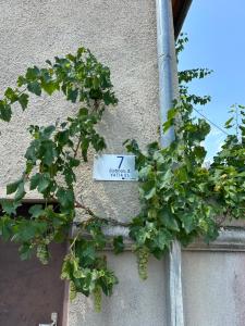 Mynd úr myndasafni af Guest House Kartuli Suli í Telavi