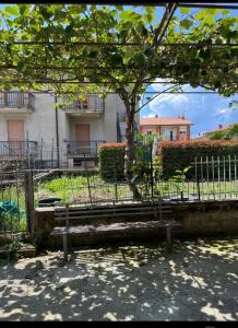 una panchina del parco con un albero e una recinzione di Casa wendy a Bolsena Altre 13 foto