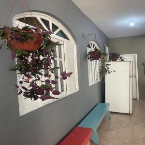 a hallway with two windows with potted plants on them at Hope Hostel Praia do Morro in Guarapari