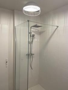 a shower with a glass door and a light at "L'escargot" Maison familiale - Les Terres du Roy in Avallon +53 photos