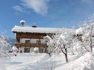 Stegerbauer during the winter