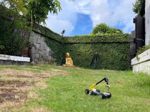 Una donna seduta in un giardino con un giocattolo nell'erba di Ubud Villa a Città Vecchia di Hengchun