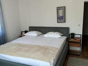 Una cama con dos almohadas encima en un dormitorio. en Gabi's Home #3, en Sighişoara