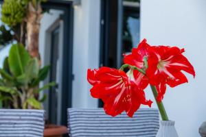 Zahrada ubytování GuestReady - Anakaj House