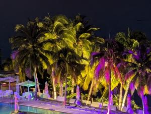 Piscina di Un petit joyau o nelle vicinanze