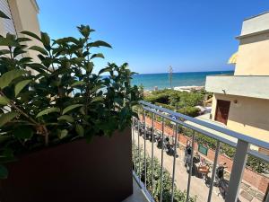 a plant in a pot on a balcony overlooking the ocean at Hotel Perla in Castiglione della Pescaia
