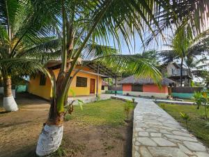 a palm tree in front of a house at Uzoma's Lodge in Butre +27 photos