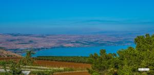 Paesaggio naturale nelle vicinanze della casa vacanze