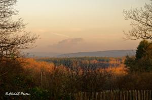 an autumn view of a field with trees and a fence at Linfinity in Baillonville