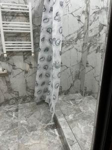 a shower in a bathroom with a shower curtain at Apartment in the city center on Bagramyan avenue 23 in Yerevan