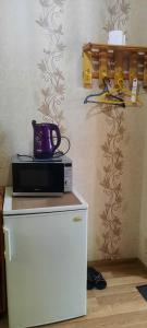 a microwave on top of a refrigerator next to a wall at Guesthouse Imma in Old Tbilisi in Tbilisi City +26 photos