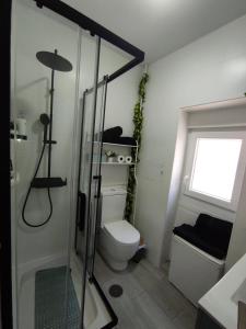 a bathroom with a toilet and a glass shower at Apartamento en Toledo ideal para visitas a Puy du Fou in Toledo