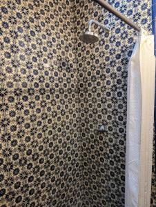 a shower stall with a blue and white pattern at Experience Guanajuato's Magic from Casa Mirador! in Guanajuato +36 photos