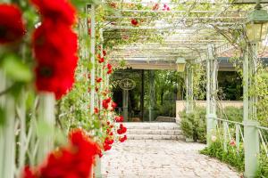 Zahrada ubytování Relais Sassa al Sole