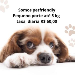 Et eller flere kæledyr der bor med gæster på Costa Maris Beach Hotel Frente Mar + 97 billeder