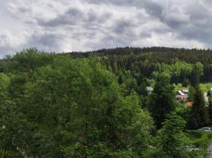 Příroda nedaleko prázdninového domu