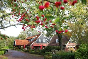 a house with red berries in front of a tree at Het Ros van Twente in De Lutte