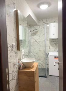 a bathroom with a bowl sink and a shower at Tihanas apartment in Kotor