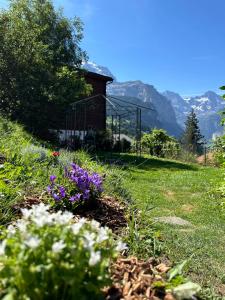 Priroda u blizini apartmana