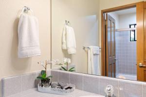 Ένα μπάνιο στο Cozy 3BR Dog-Friendly Cabin +30 φωτογραφίες