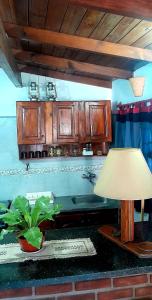 a kitchen with wooden cabinets and a lamp and a plant at Mar del Plata in Mar del Plata