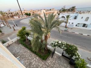 an empty street with palm trees in a city at Sea view cliff top apartment in Sharm El Sheikh +4 photos