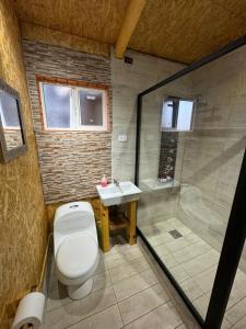 un bagno con wc, doccia e lavandino di Cabañas Sin Limites a Puerto Ingeniero Ibáñez