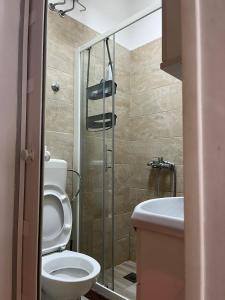 a bathroom with a toilet and a sink and a shower at Apartman Perper in Trebinje +32 photos