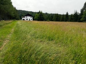 Galeriebild der Unterkunft Dom myśliwski Siokałówka in Hańczowa + 12 Fotos