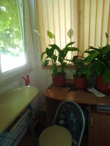 Foto dalla galleria di Квартира в центре. a Odessa