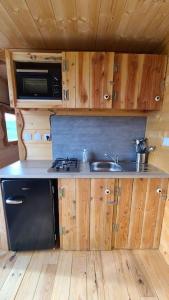 Lisle-sur-TarnにあるTiny House Petite Balnéo Cheminée exterieureの小さなキッチン(シンク、電子レンジ付) +7枚の写真