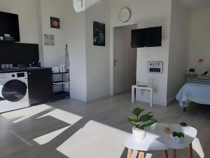 TV a/nebo společenská místnost v ubytování Appartement Le Classik' PARKING PRIVÉ