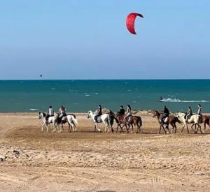 a group of people riding horses on the beach at Hotel Room in Aqua Palms Hurghada in Hurghada