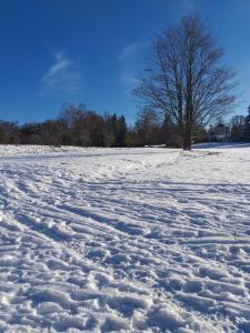 Ferienwohnung Sonnenschein mit kleinem Bauernhof v zimě