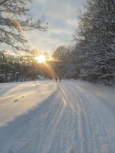 Ferienwohnung Sonnenschein mit kleinem Bauernhof v zimě + 14 fotografií