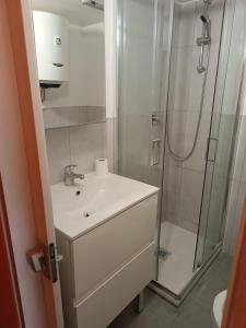 帕尔马APPARTAMENTO CHECK iN的带水槽和淋浴的浴室
