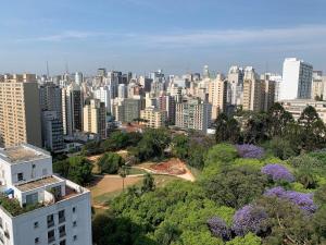 Vista general de São Paulo o vista desde el apartamento